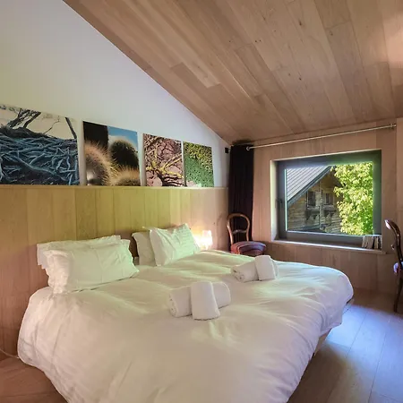 Chalet Contemporain Avec Sauna, Cheminee, Et Grand Jardin - Fr-1-343-243 *
