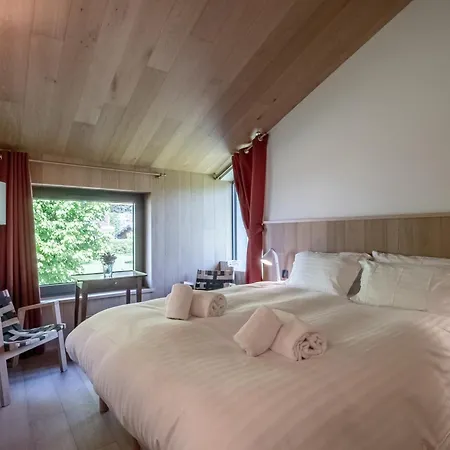 Contemporain Avec Sauna, Cheminee, Et Grand Jardin - Fr-1-343-243 Chalet Chamonix