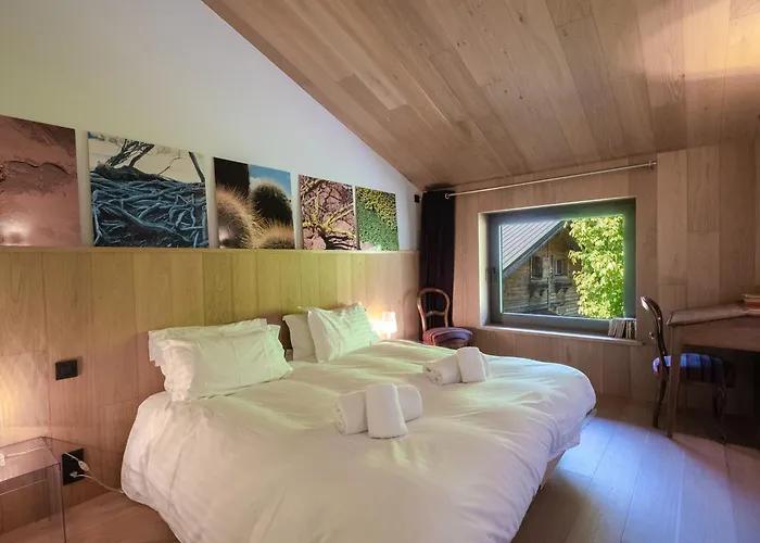 Contemporain Avec Sauna, Cheminée, Et Grand Jardin - Fr-1-343-243 Chalet *